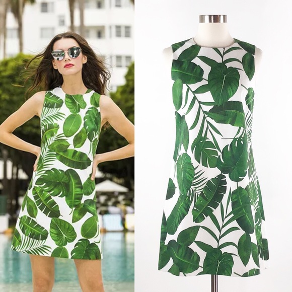 alice and olivia coley shift dress